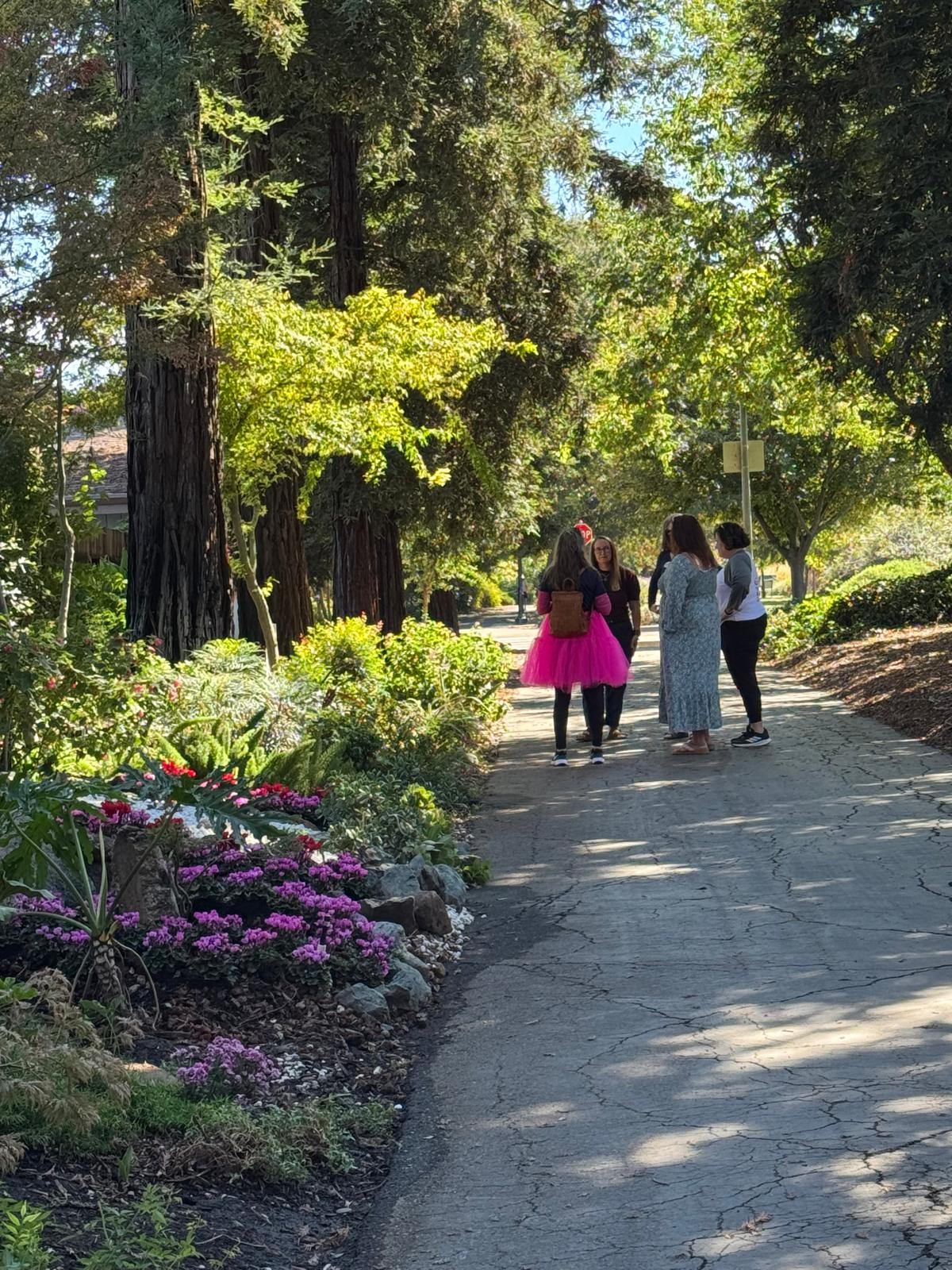 Thriving Pink at Huei’s Garden – photo 24