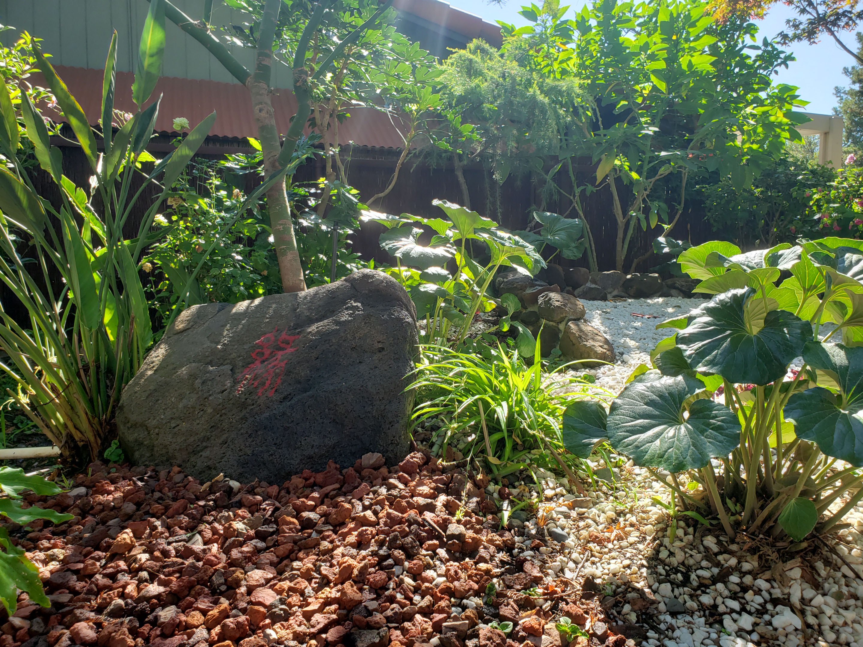 Huei’s Garden – Davis City Garden