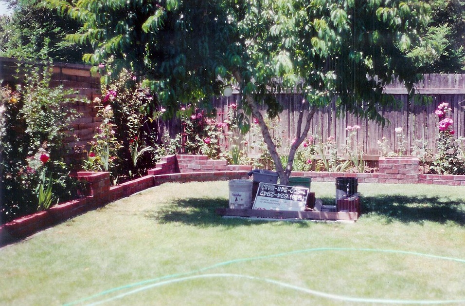 The lot before planting