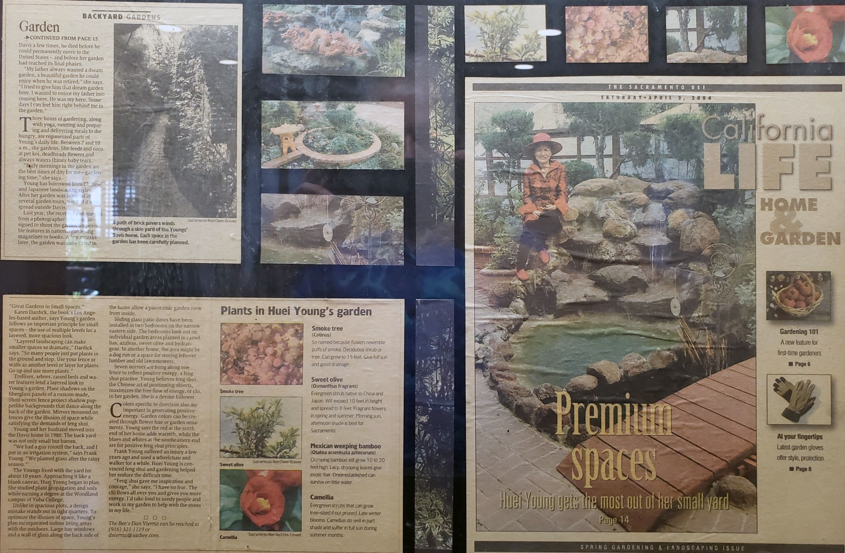 Sacramento Bee page spread, right