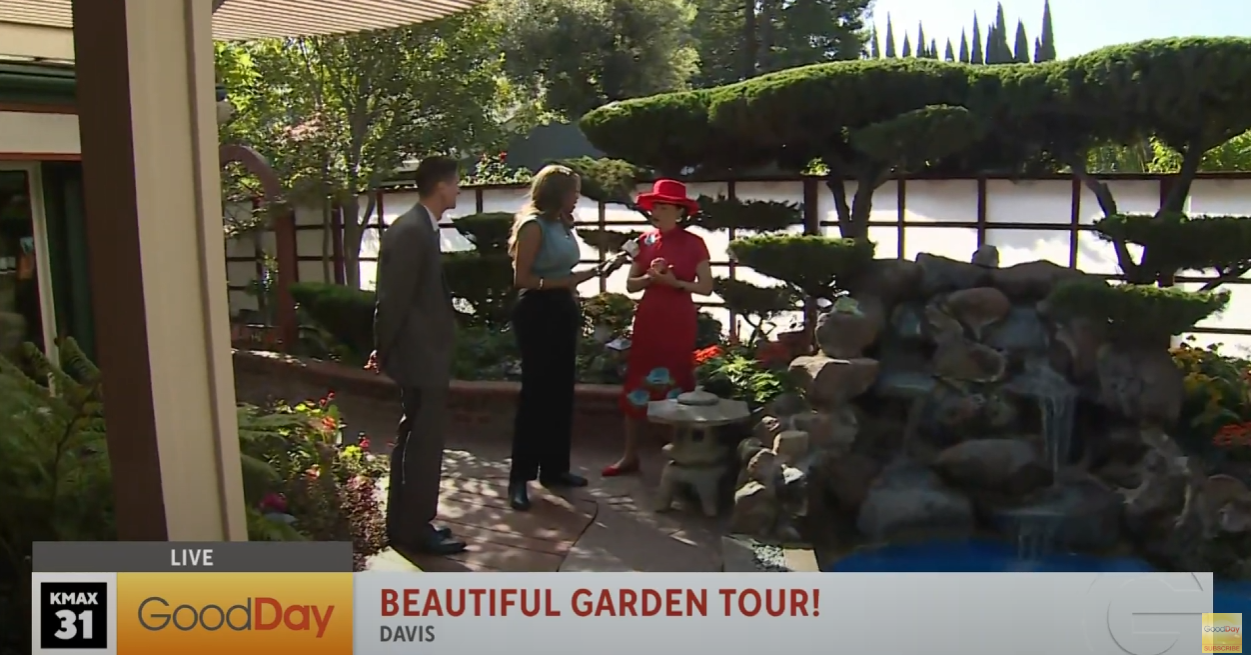 Good Day Sacramento interview at Huei’s Garden