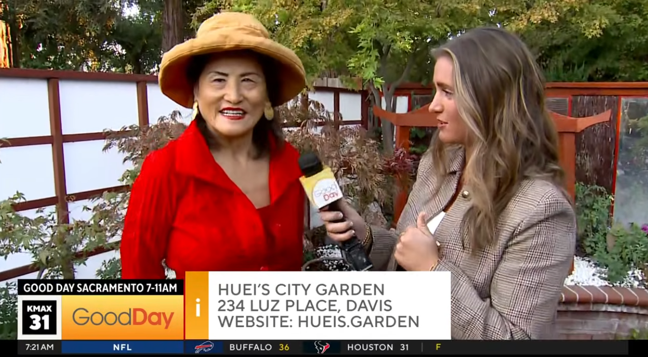 Good Day Sacramento interview at Huei’s Garden