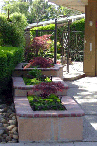 Palo Alto Garden