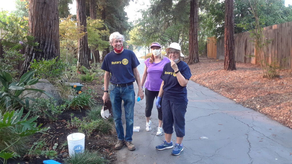 Rotary volunteers gardening