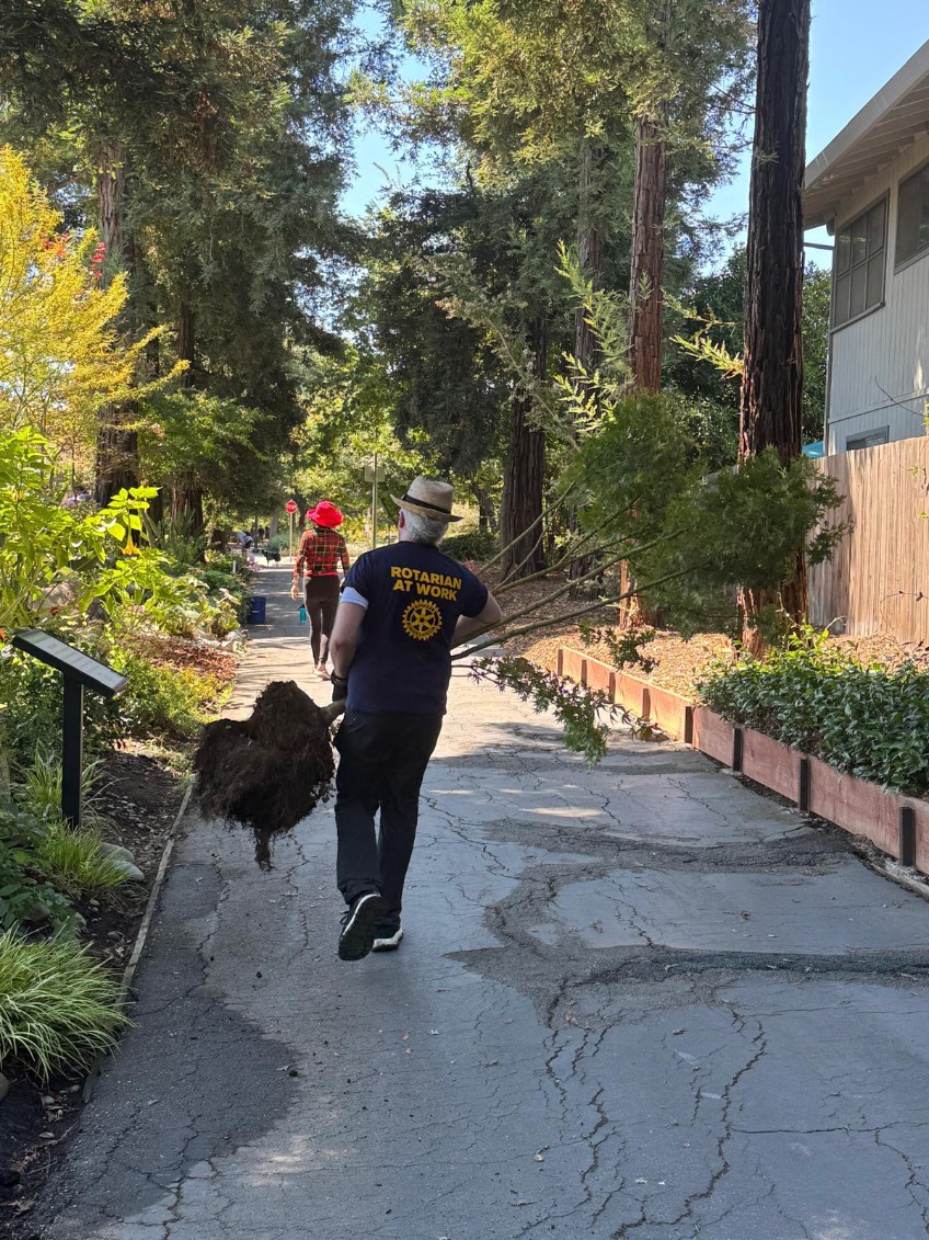 Rotary volunteers gardening